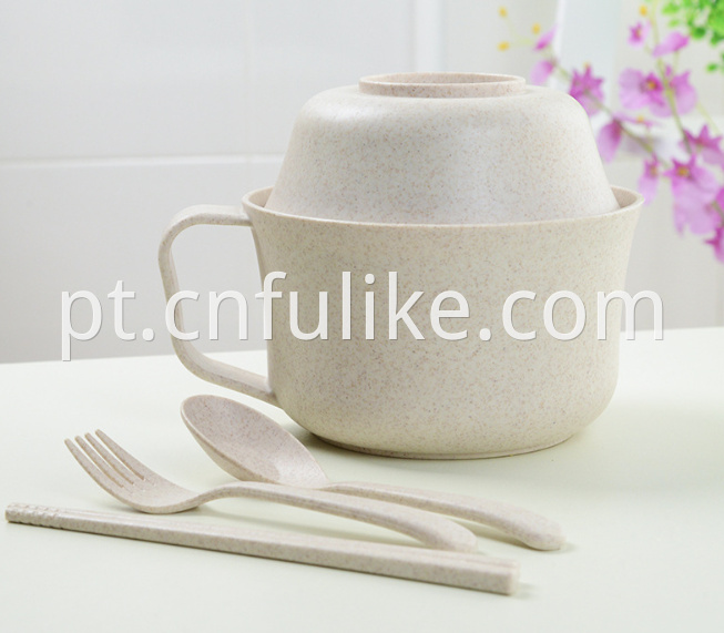 5 Pcs Dinnerware Set